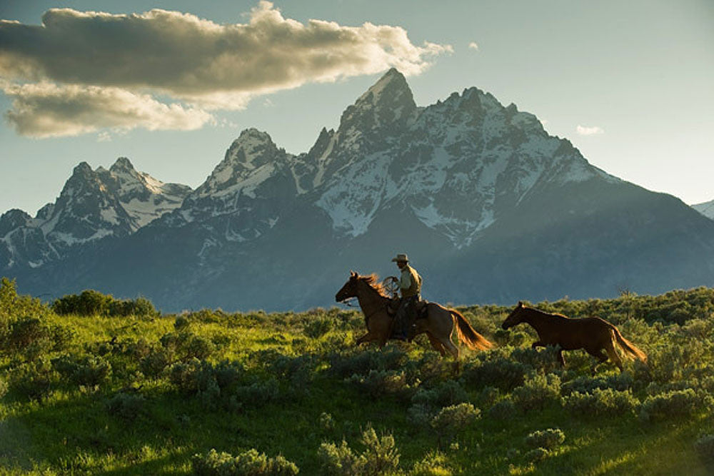 Along the Teton Trail by Robert Dawson