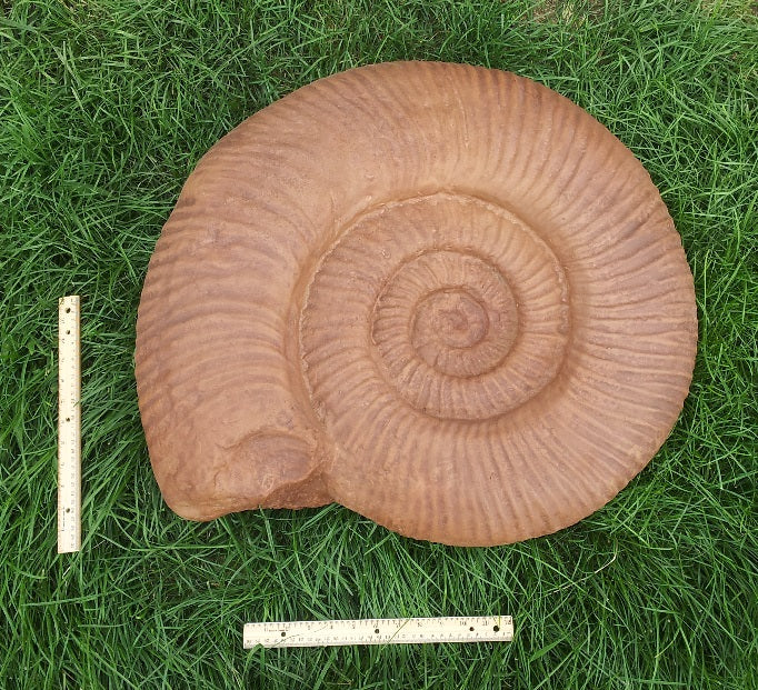 Ammonite: Largest Ammonite cast available anywhere