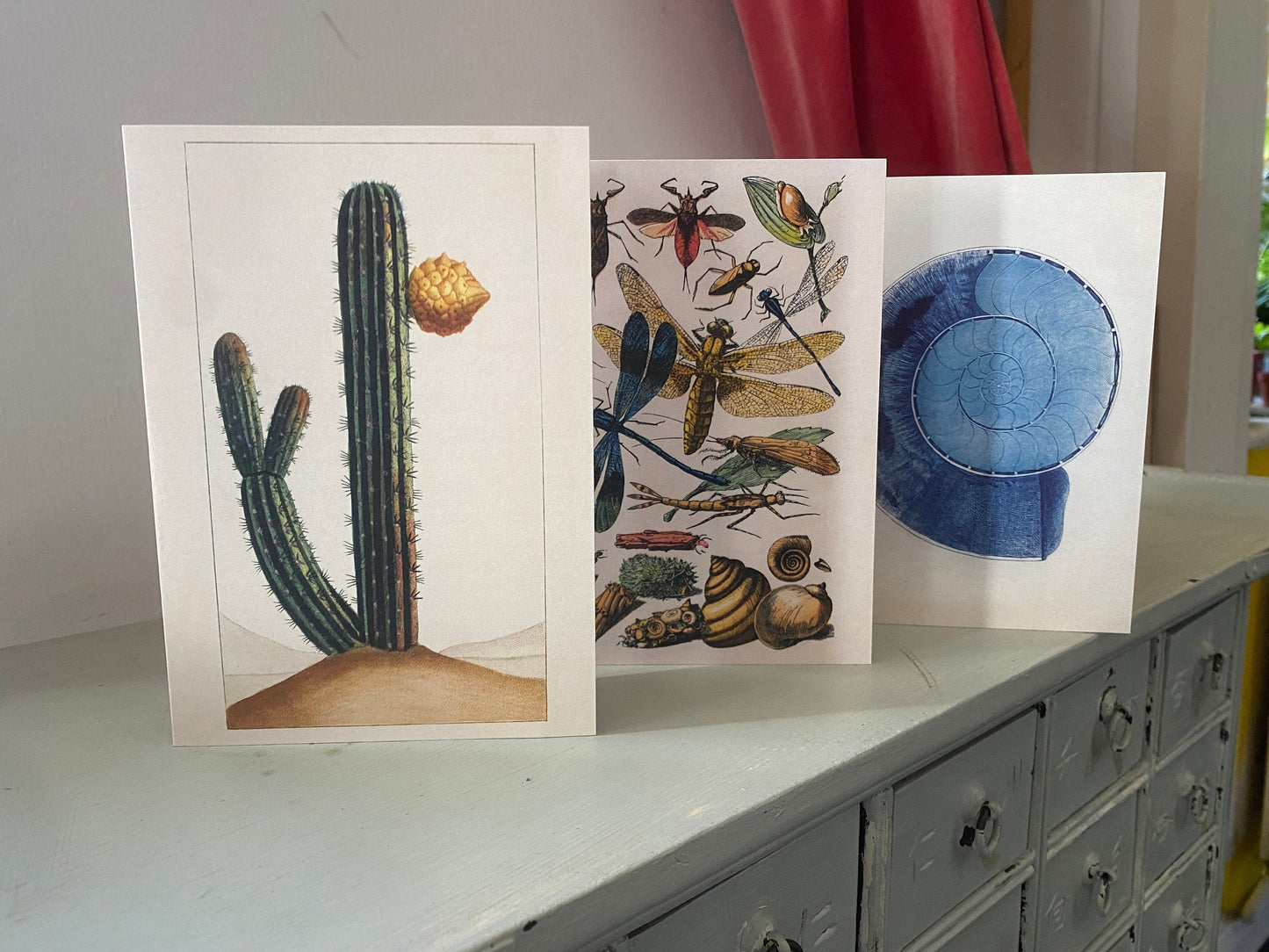 Fossil Antique Greeting Card