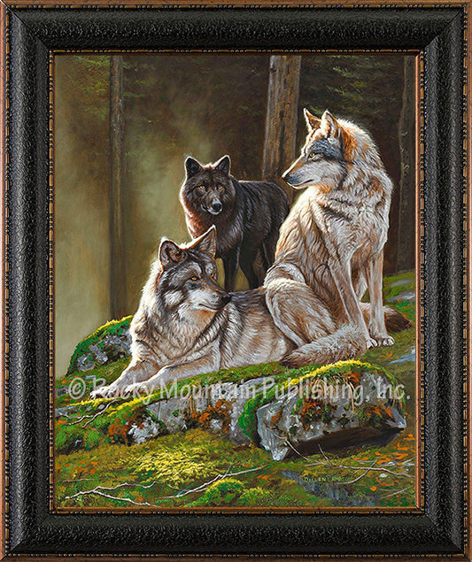 Alpine Alphas ¨C Giclee Canvas by Dallen Lambson