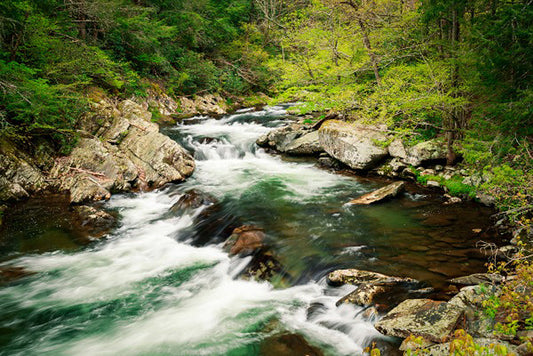 Along the Little River Art Prints by Jason Clemmons Artist