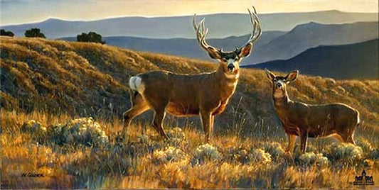A Moment in Time - Full Image by Nancy Glazier