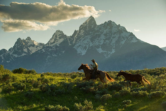 Along the Teton Trail by Robert Dawson