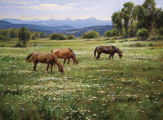 Amid Summer Blooms by Robert Peters